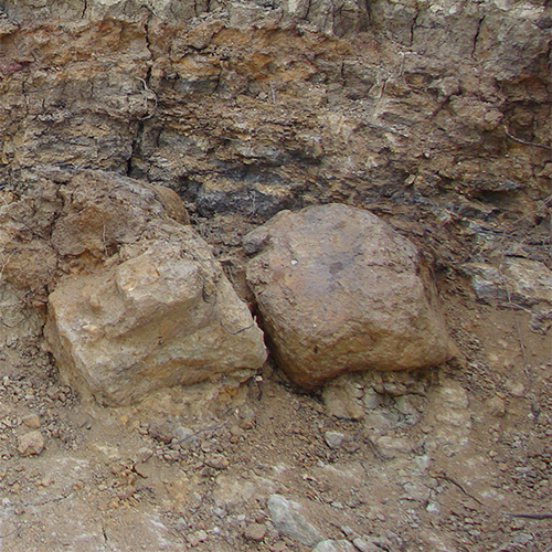 Stacks Image 11